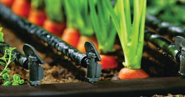 avtomatizaciya-teplic.jpg avtomatizaciya-teplic.jpg