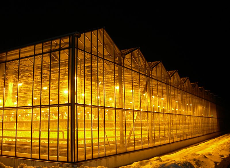 zimnaya teplica.jpg zimnaya teplica.jpg