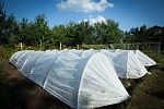 Парники Подснежник 8 м