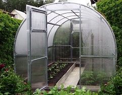 
            Теплица Садовая-ЦИНК в г Сергиев посад