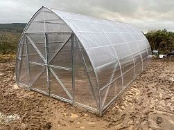 
            Теплица Фермерская 5 (2011) в г Красногорск