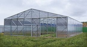 
            Теплица Фермерская 11,5 в г Красногорск