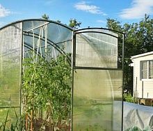 
            Форточка в дверь теплицы "Кремлевская ЛЮКС"